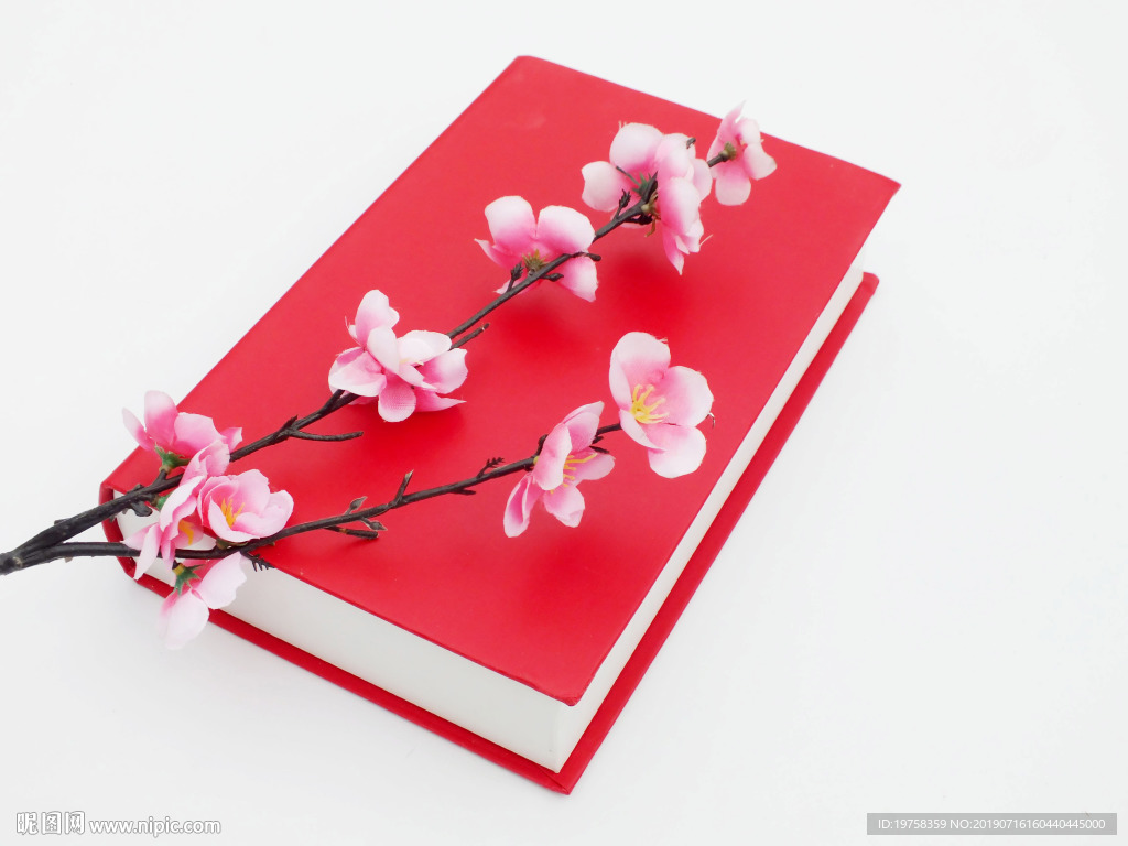 梅花与书 岁月静好