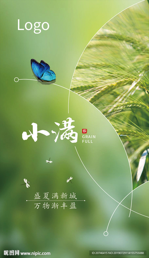 小满  节气  小麦   收获