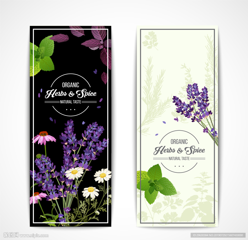 矢量花卉绿植设计