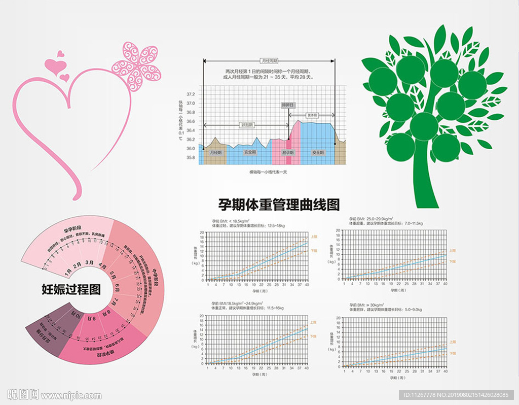 孕期妊娠指示图