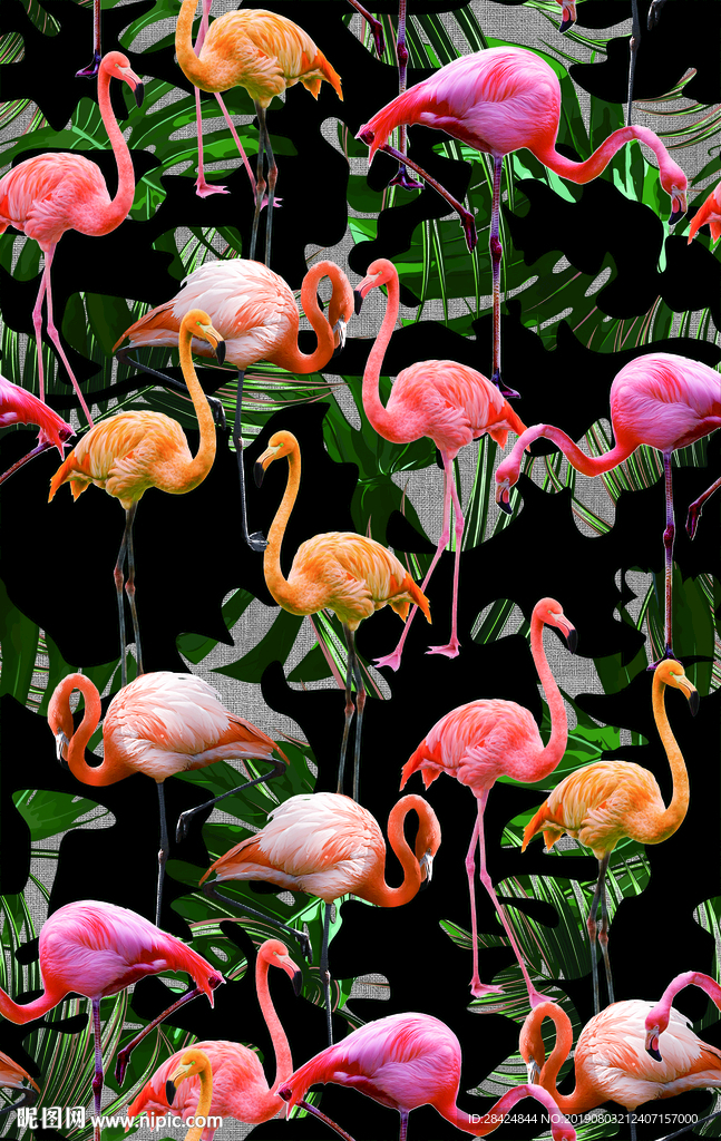 火烈鸟 大牌 印花