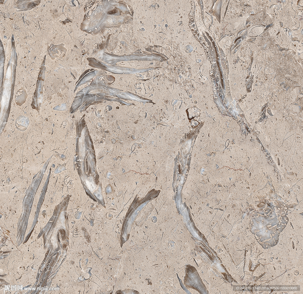 化石质感纹理 PSD分色通道