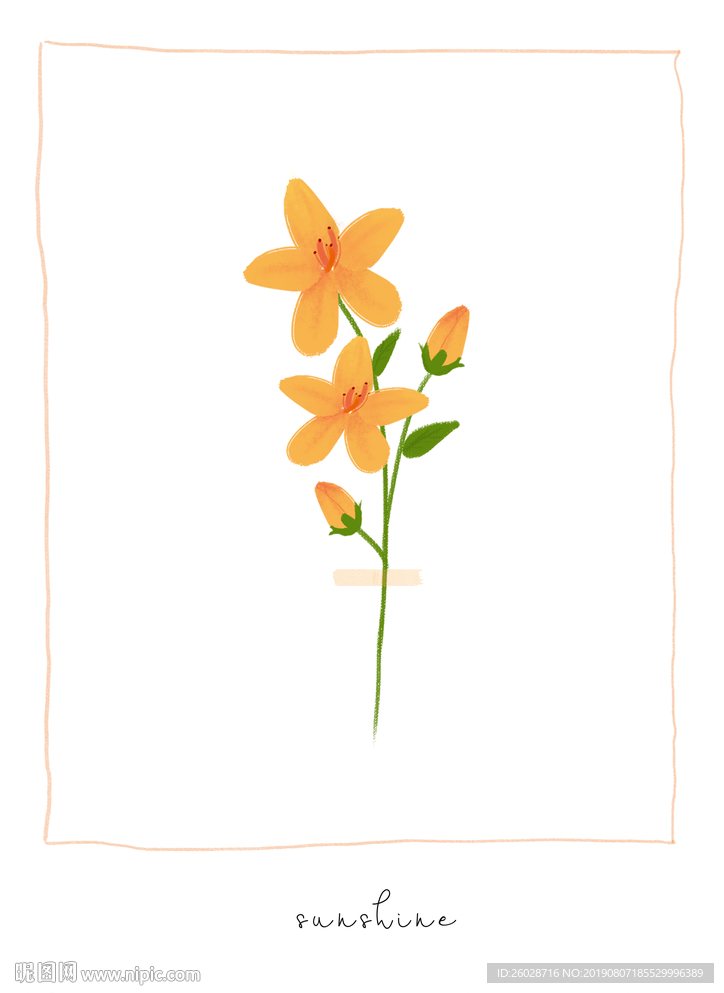 北欧风黄色花朵