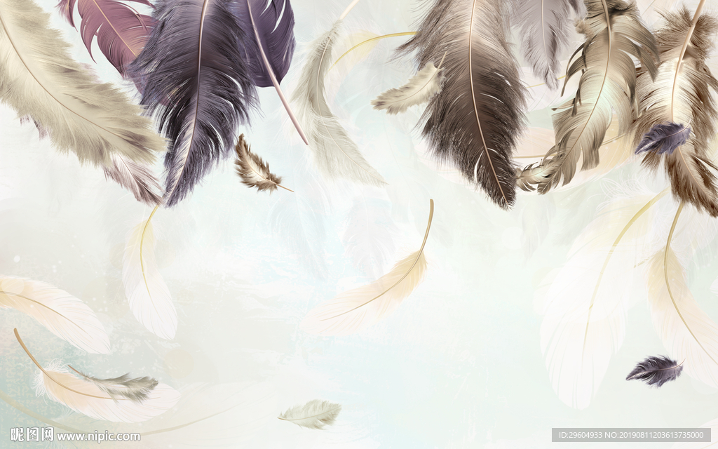 高档装饰画 羽毛TIF分层