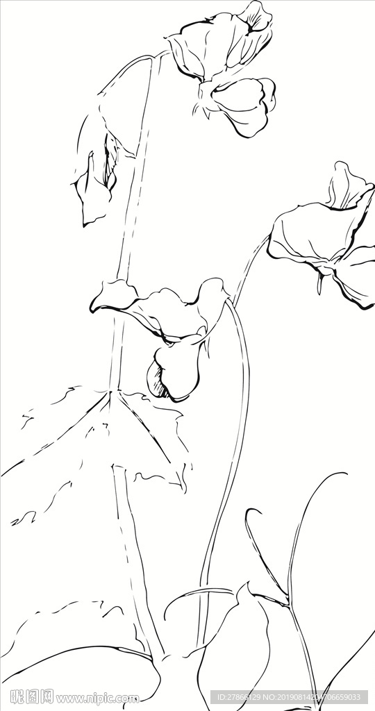 唯美速写花朵矢量素材高清