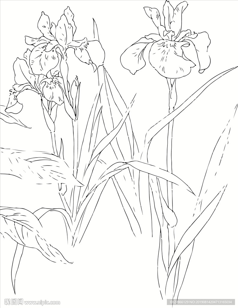 速写花朵矢量素材高清