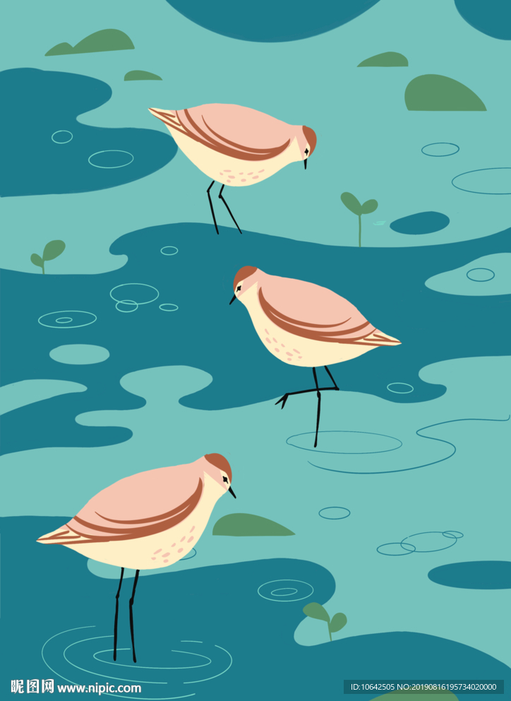 扁平化水鸟荷叶插画手绘图