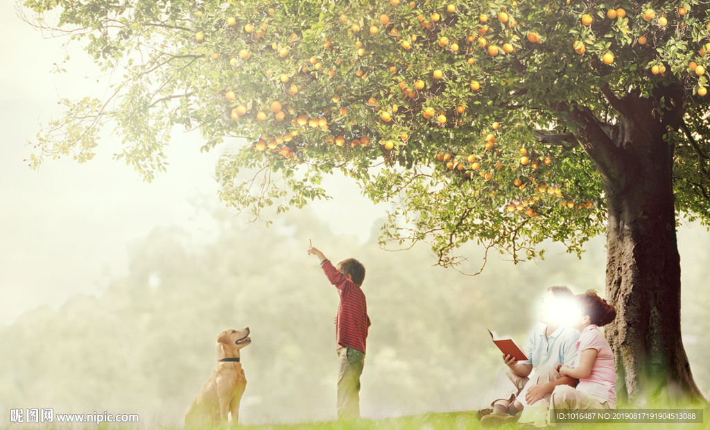 家庭 家庭日 郊游 温馨 家人
