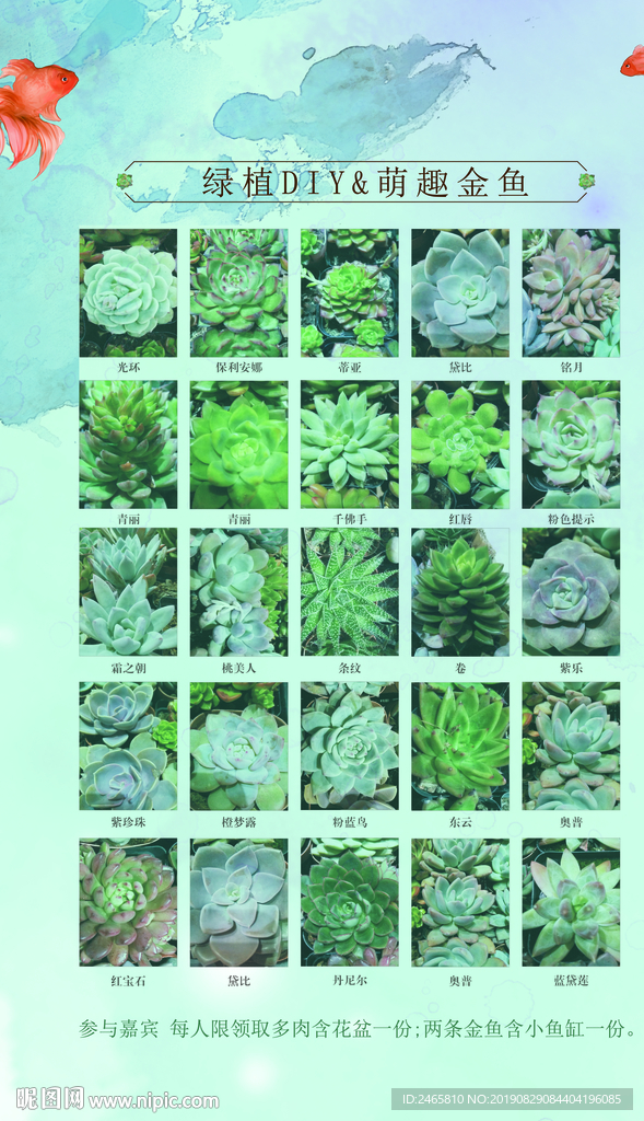 多肉展板