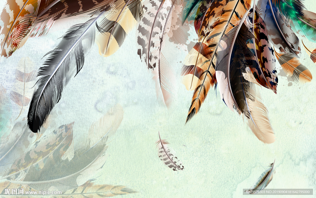 羽毛装饰画 TIF分层