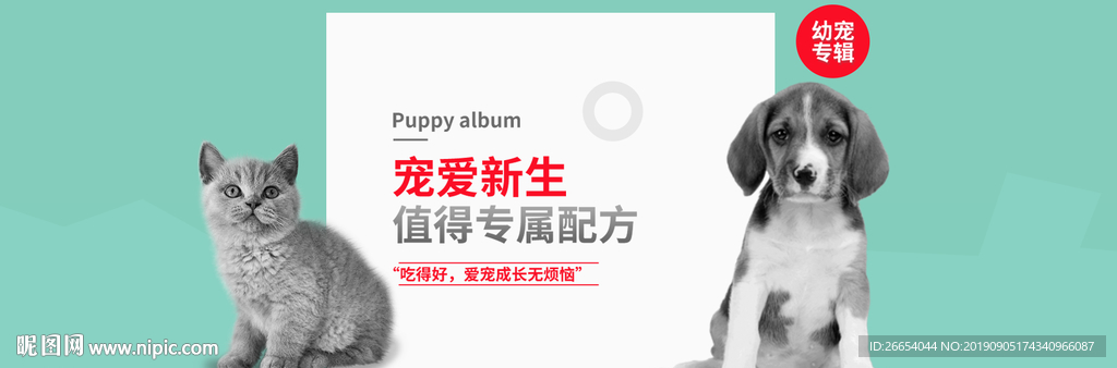 猫狗宠物全屏海报