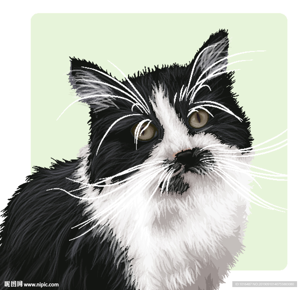 宠物 精美手绘矢量图四：喵星人