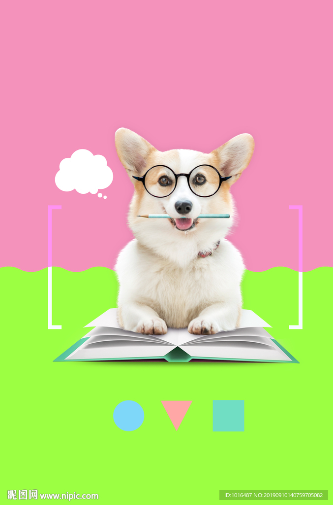 萌宠冠军系列六-狗狗