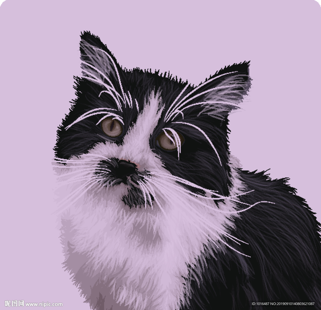 宠物 精美 手绘矢量图三：喵咪