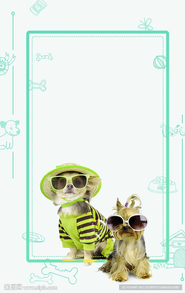 狗狗 汪星人 萌宠冠军系列-3