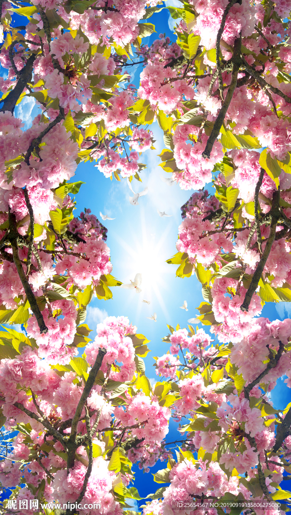 花朵蓝天白云背景墙壁画