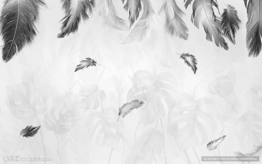 羽毛新品装饰墙画 TIF分层