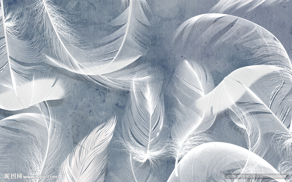 羽毛新欧式装饰画 TIF分层