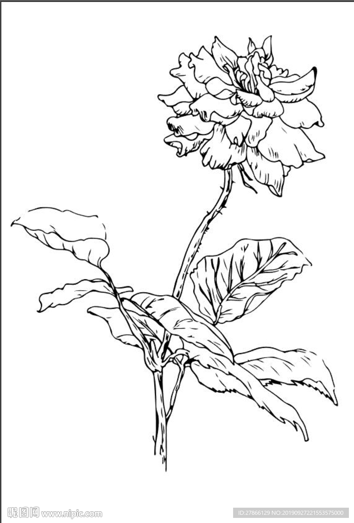 盛开的花高清矢量刻图硅藻泥插画