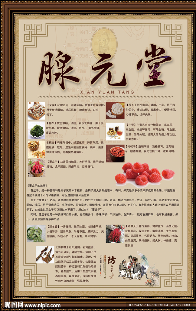 腺元堂 养肾补肾