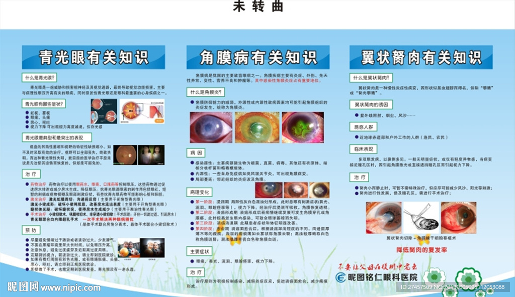 青光眼  角膜病  翼状胬肉