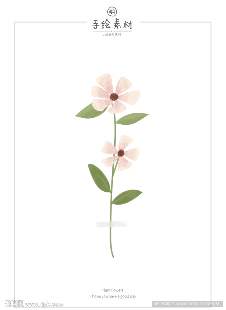 手绘素材米白花束