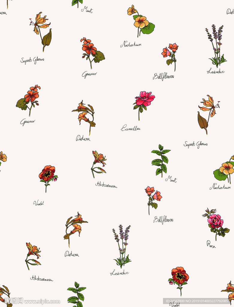 英文字母 数码印花 花朵 几何