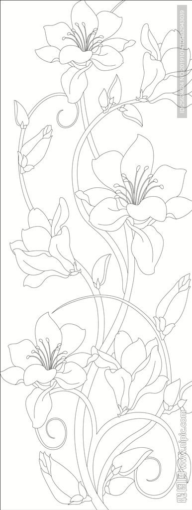 百合花  抽象花