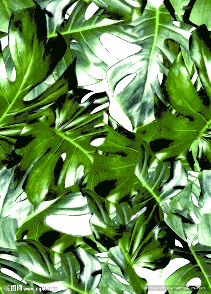 数码印花 热带植物 棕榈树叶