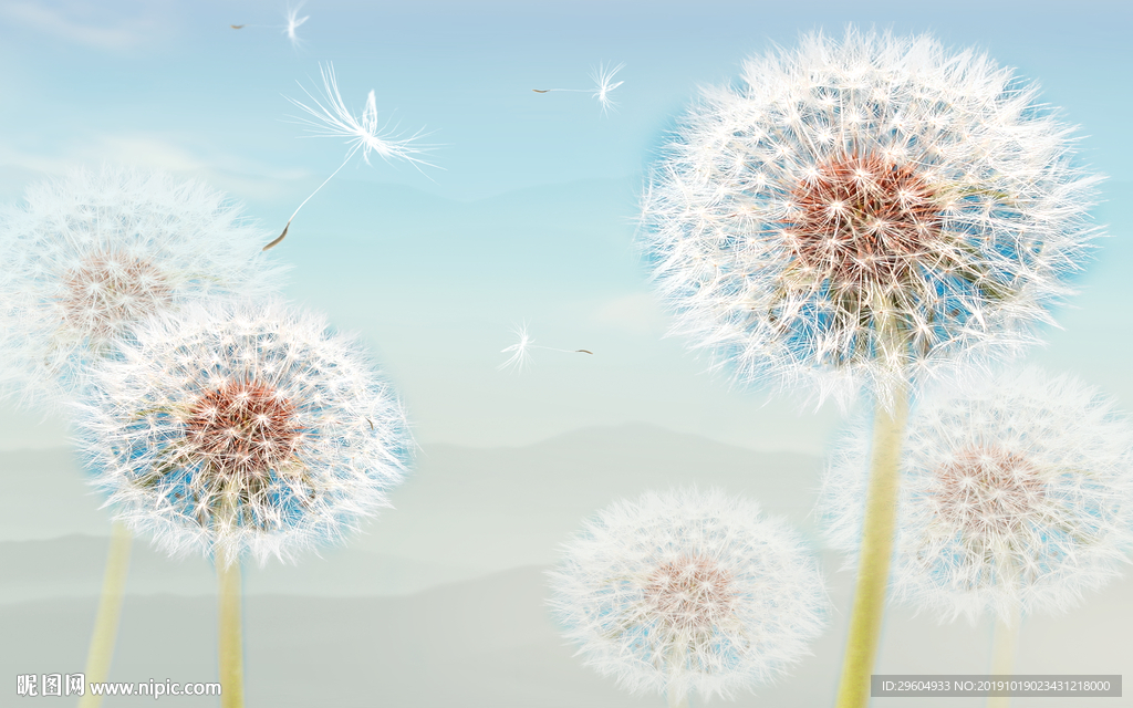 蒲公英背景墙TIF分层 背景墙