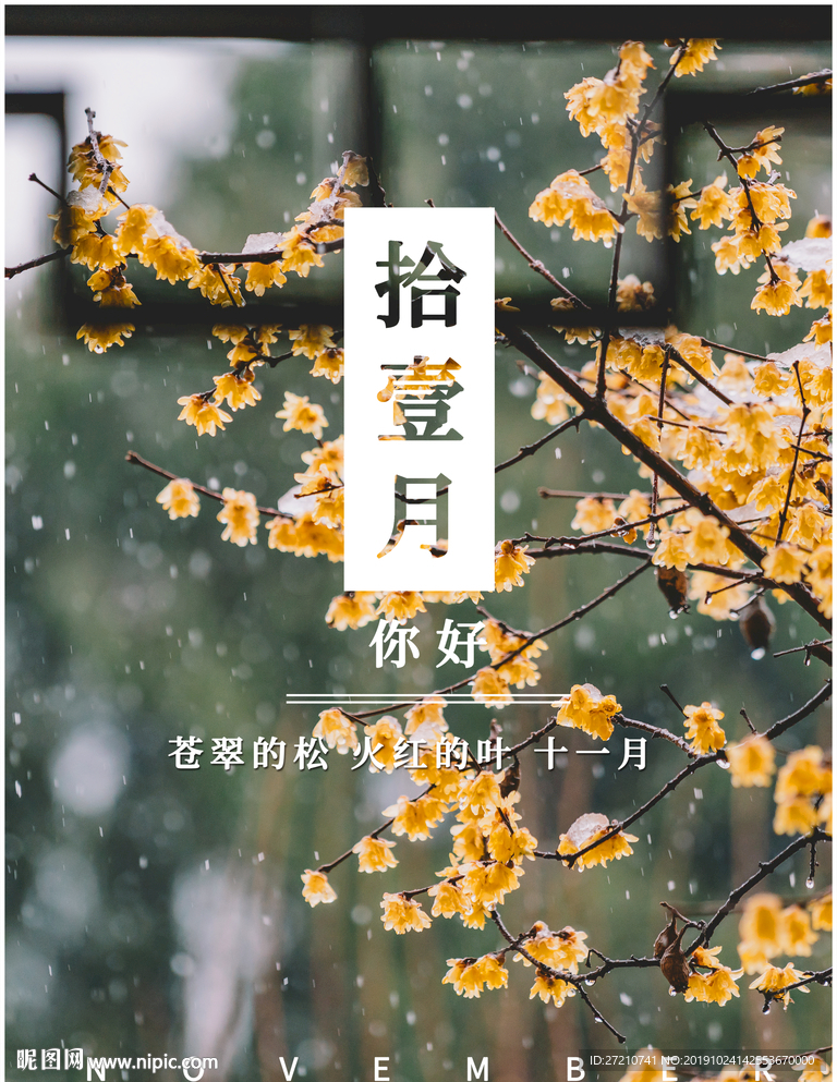 十一月 十一月你好