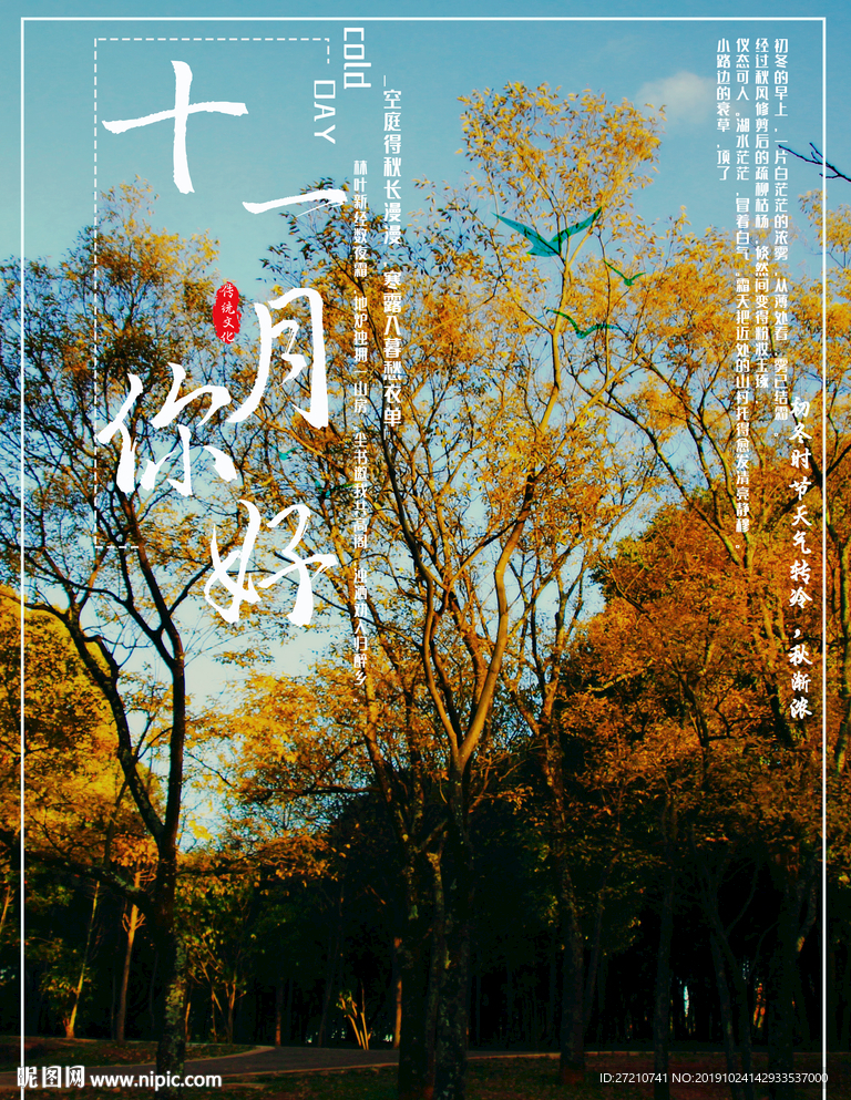 十一月 十一月你好