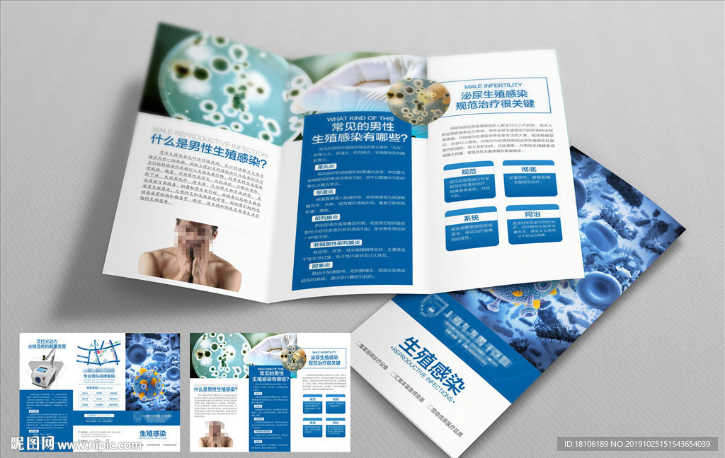 男科生殖感染三折页