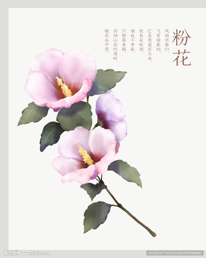 粉花