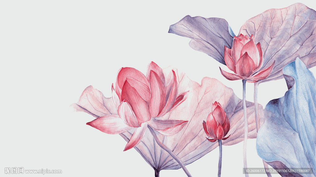 数码印花 大牌 佩斯利  复古