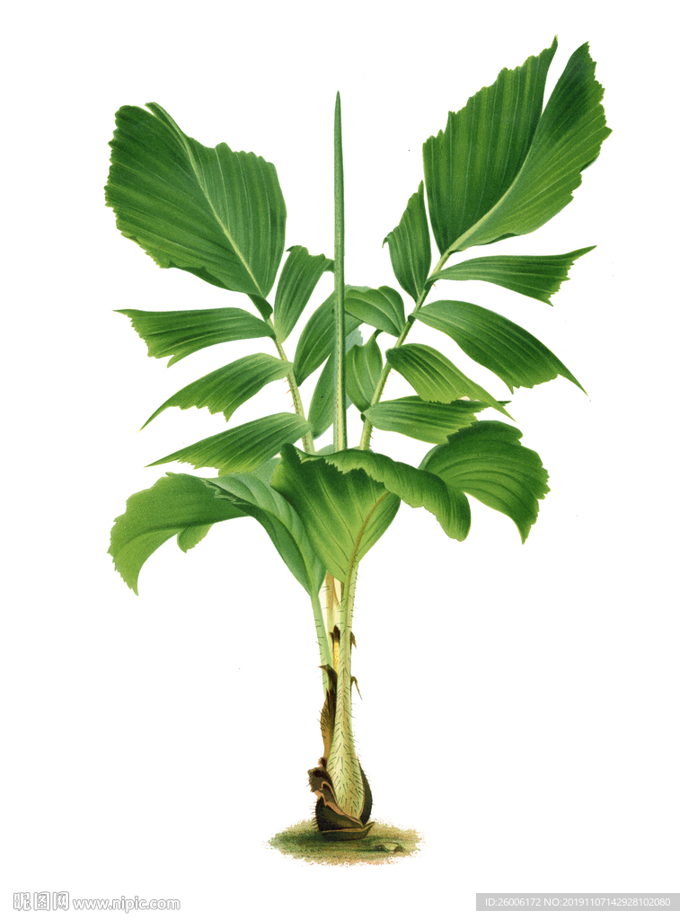 数码印花 大牌 佩斯利