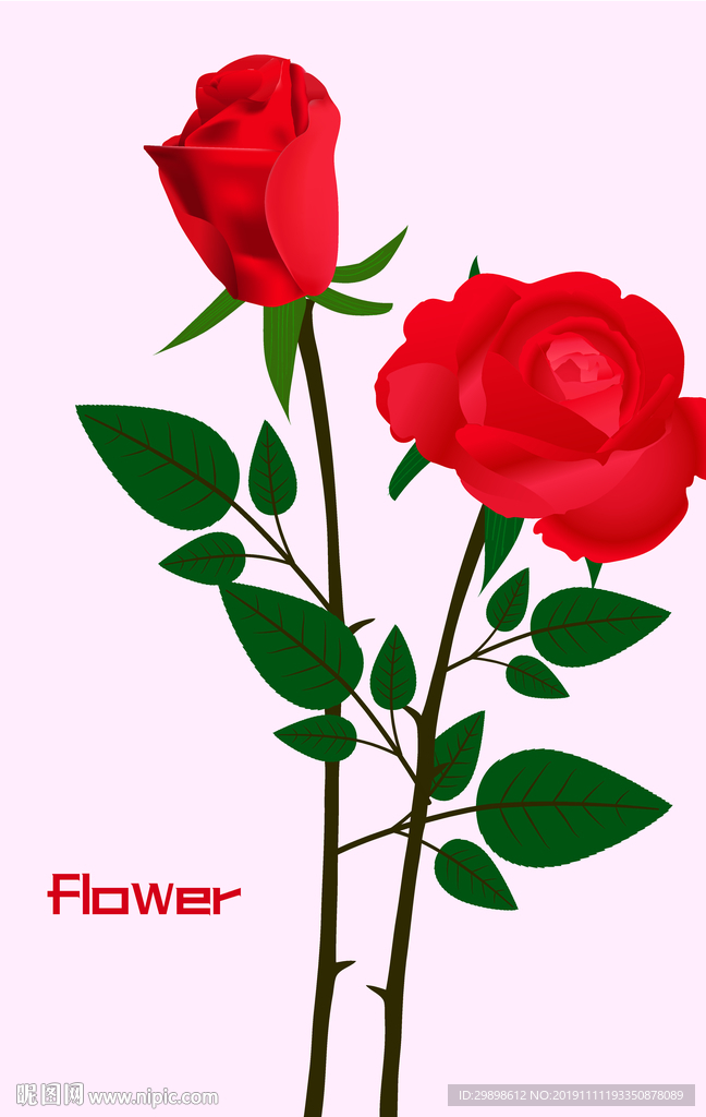 矢量图两枝红玫瑰