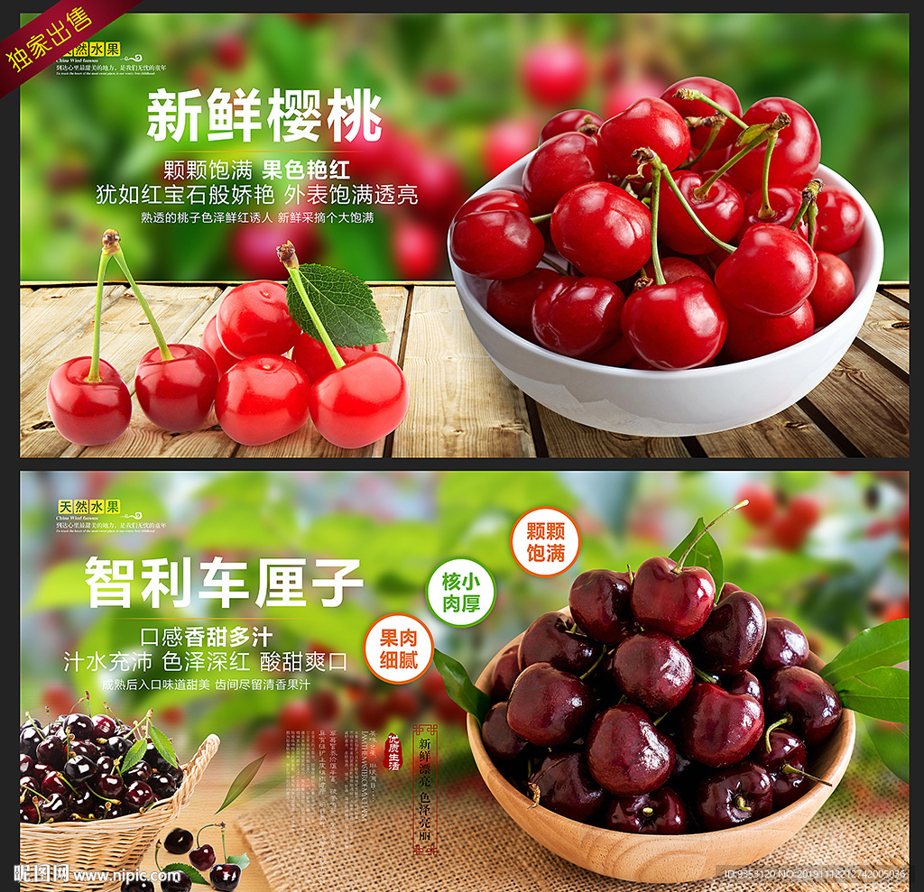 樱桃海报 车厘子