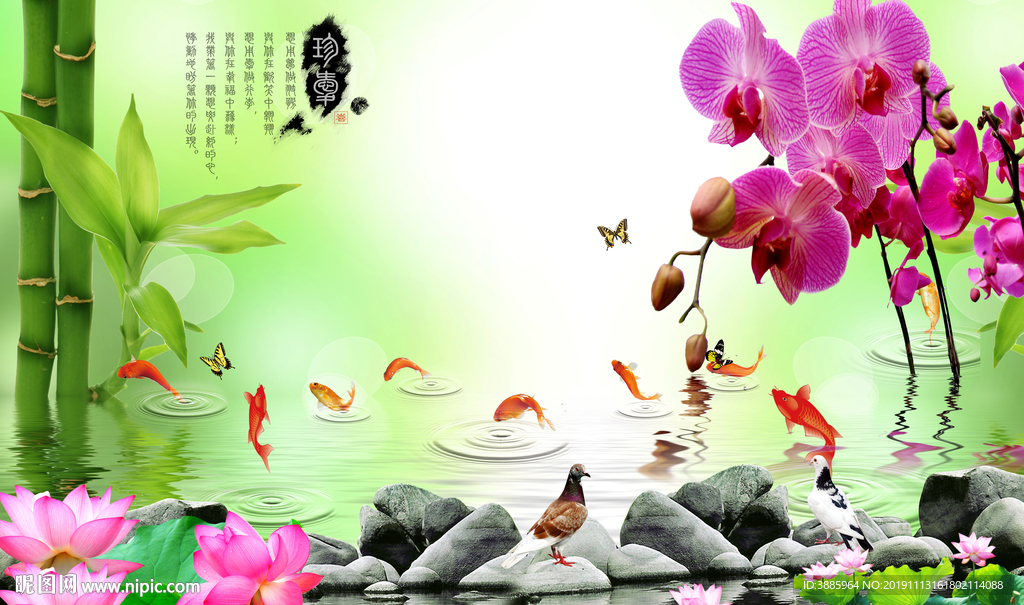 家和 竹子 荷花鱼图片