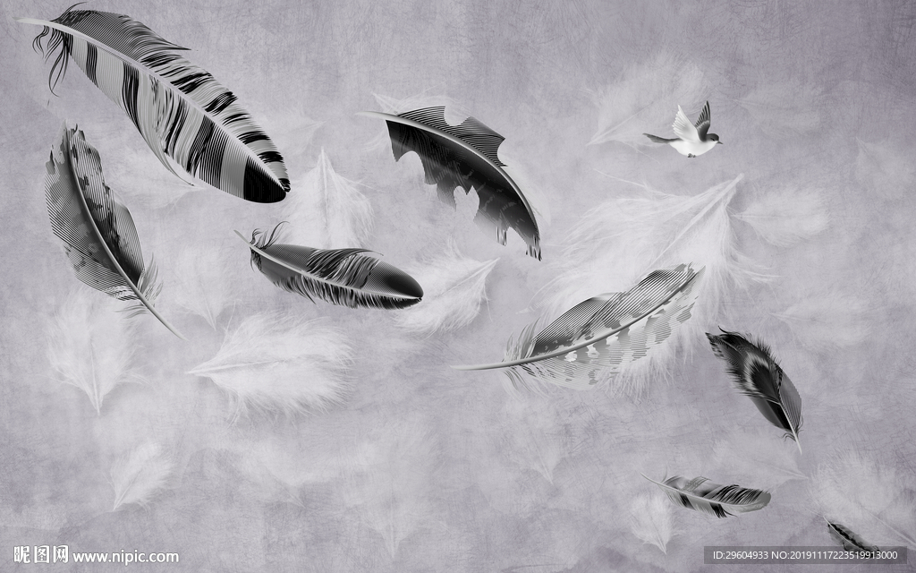 羽毛简约装饰画 TIF分层