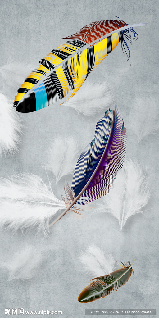 彩色羽毛高清画 TIF分层