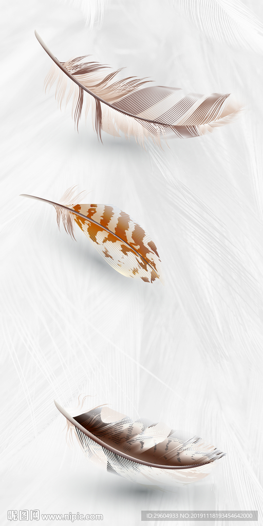 大气羽毛高清画 TIF分层