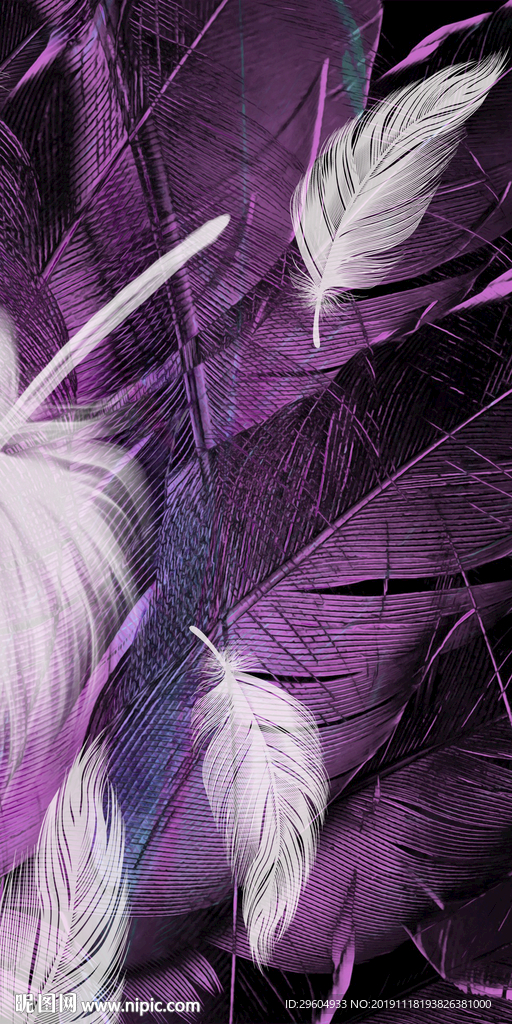 白色羽毛高清画 TIF分层