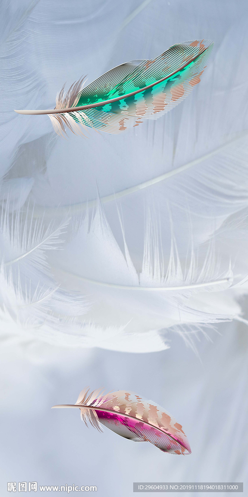 玄关羽毛高清画 TIF分层