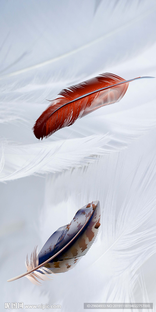 高档羽毛高清画 TIF分层