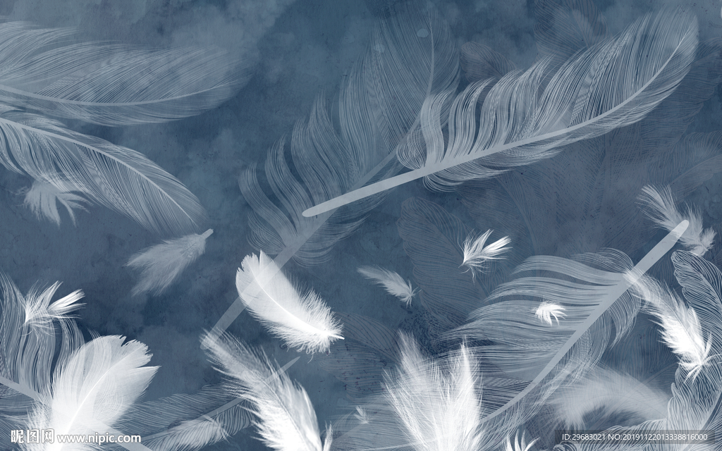 羽毛 奢华装饰画 TIF分层