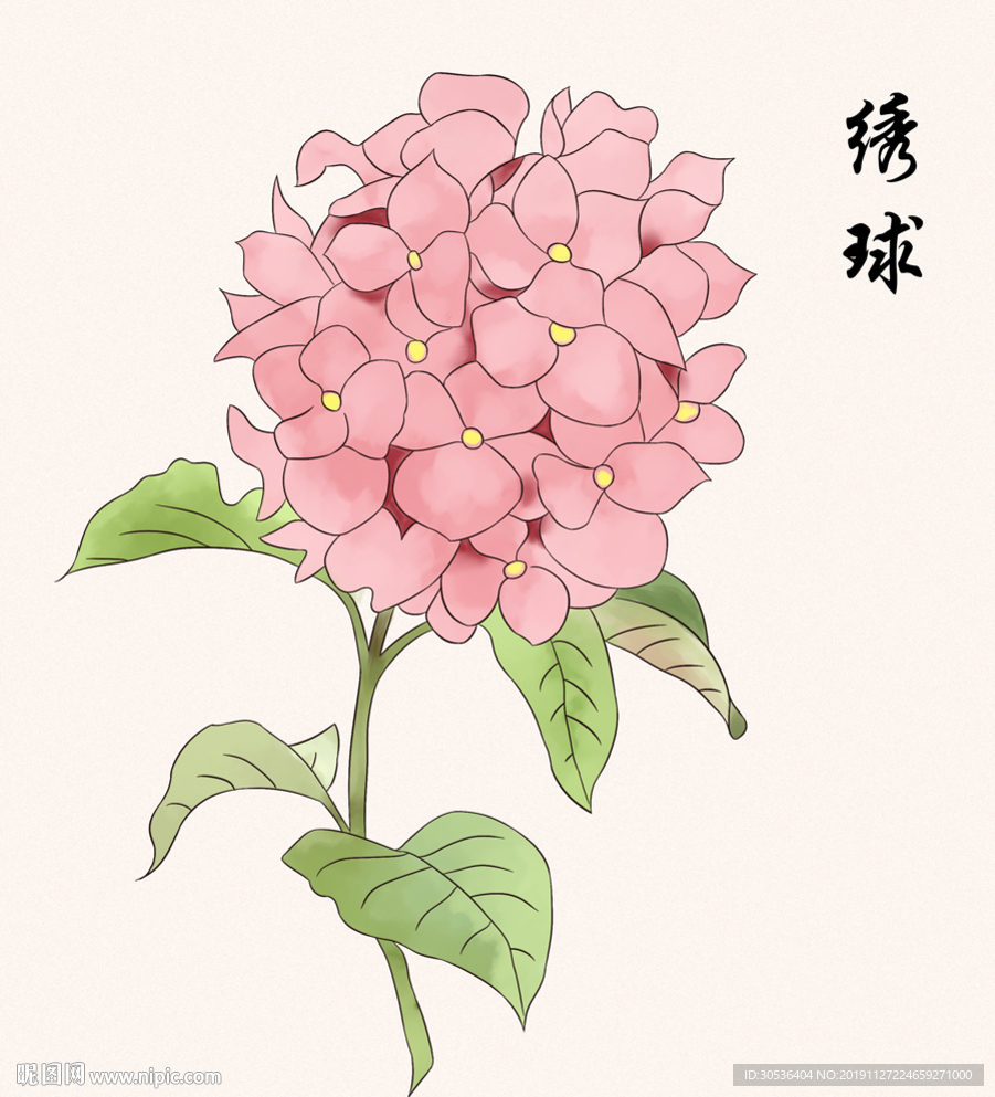 手绘绣球花