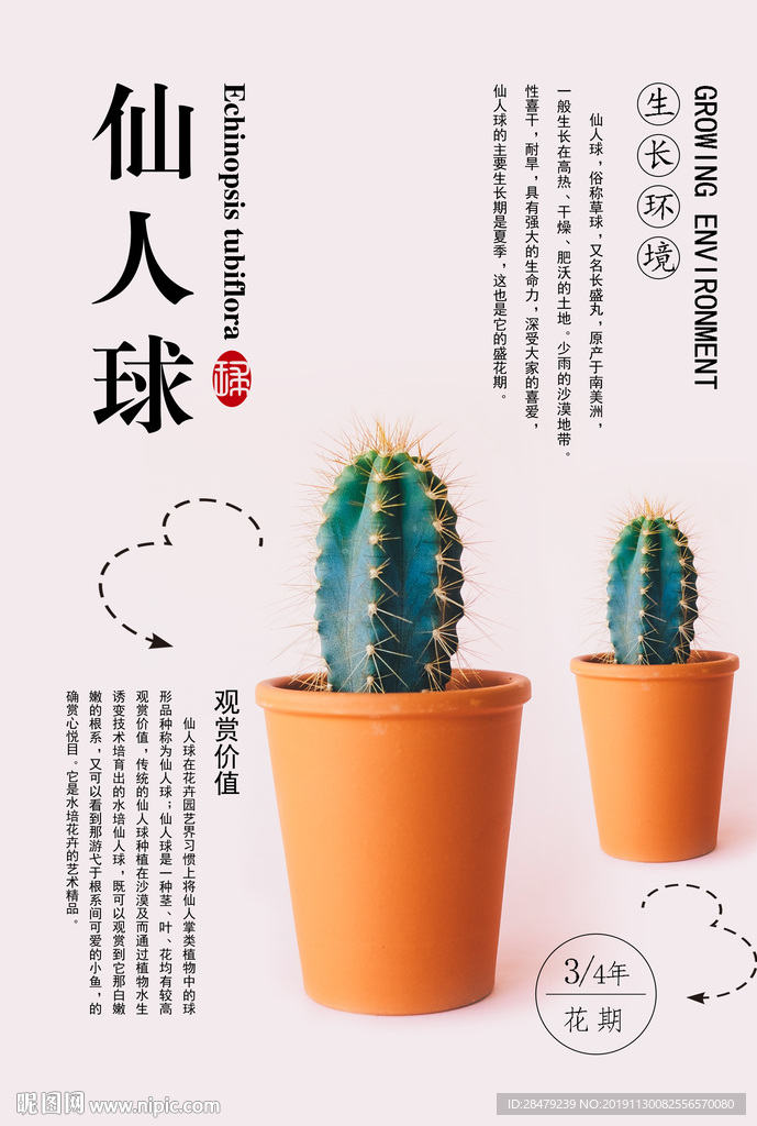 植物海报