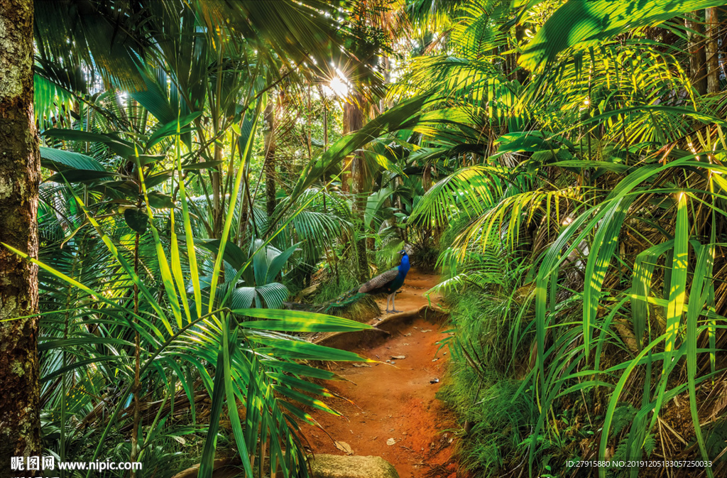 抽象阳光森林树木孔雀背景墙