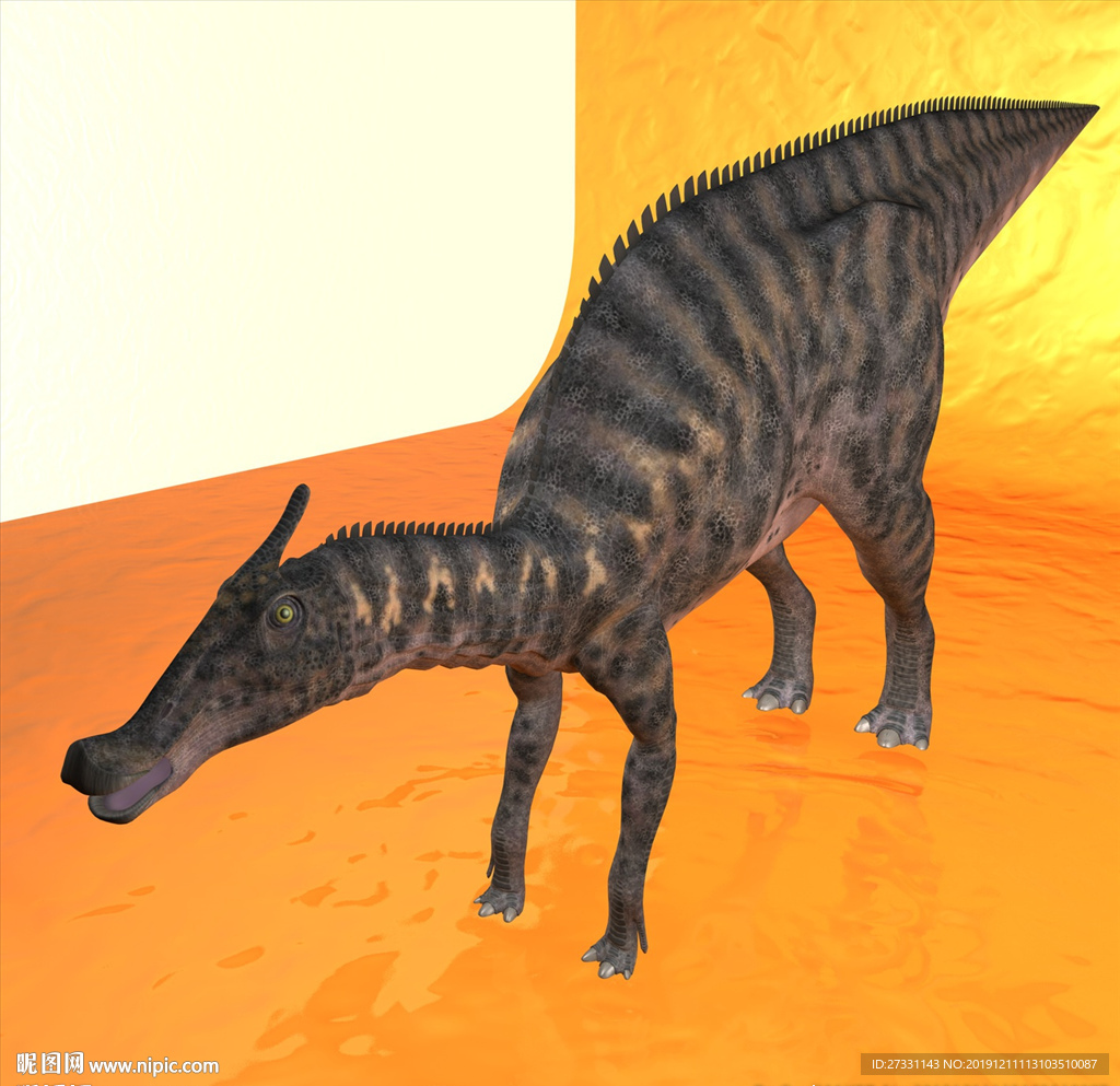 恐龙模型 动物模型 恐龙近景